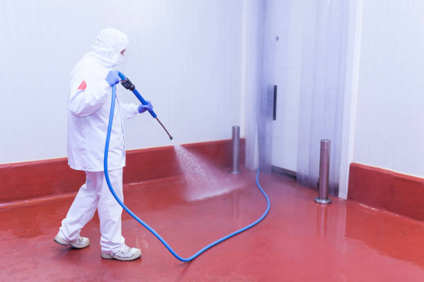 Best Building Exterior Washing  in Arthur, IL