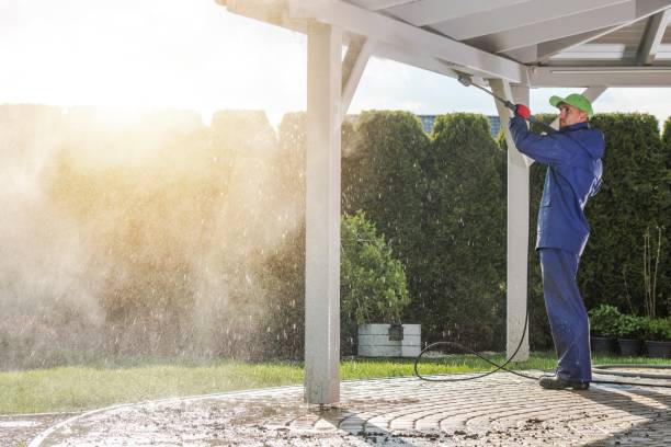 Best Rust Removal  in Arthur, IL