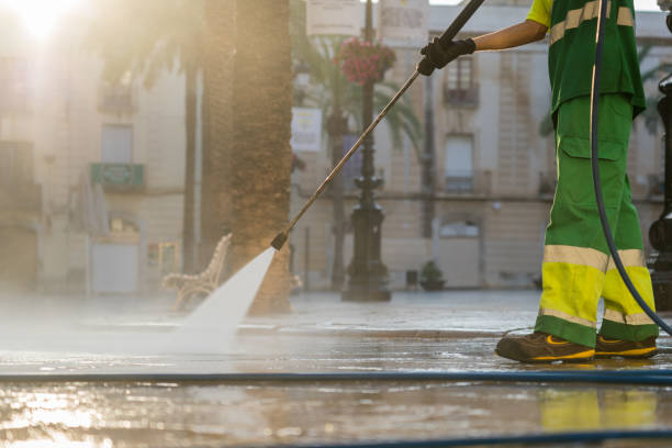 Best Gutter Cleaning  in Arthur, IL